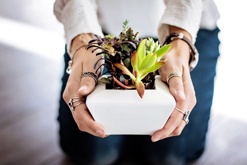 Tin Can Planters